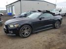 Ford Mustang Image 1