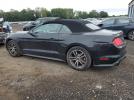 Ford Mustang Image 2