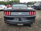 Ford Mustang Image 3
