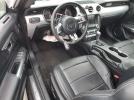 Ford Mustang Image 10