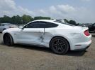Ford Mustang Gt Image 11