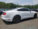 Ford Mustang Gt Image 7