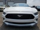 Ford Mustang Gt Image 2