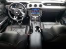 Ford Mustang Gt Image 8