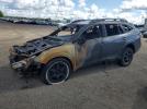 Subaru Outback Wilderness Image 1