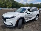 Honda Crv Exl Image 1