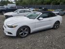 Ford Mustang Image 1
