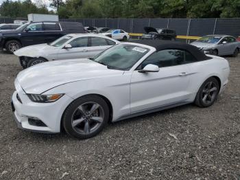  Salvage Ford Mustang
