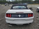 Ford Mustang Image 9