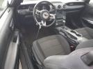 Ford Mustang Image 2