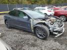 Tesla Model 3 Image 10