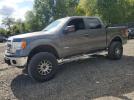Ford F-150 Supercrew Image 1