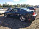 Ford Mustang Gt Image 7
