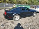 Ford Mustang Gt Image 11