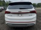 Hyundai SANTA FE Calligraphy Image 4