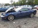 Ford Mustang Image 1