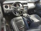 Ford Mustang Image 2