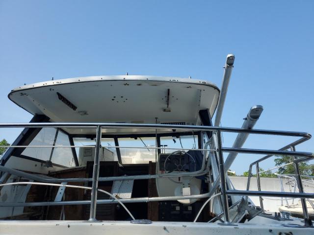 Trojan Boat Image 10