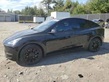  Salvage Tesla Model Y