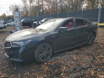  Salvage Acura TLX