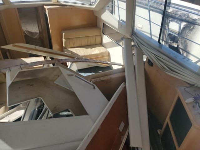 Carver Yachts Boat Image 3