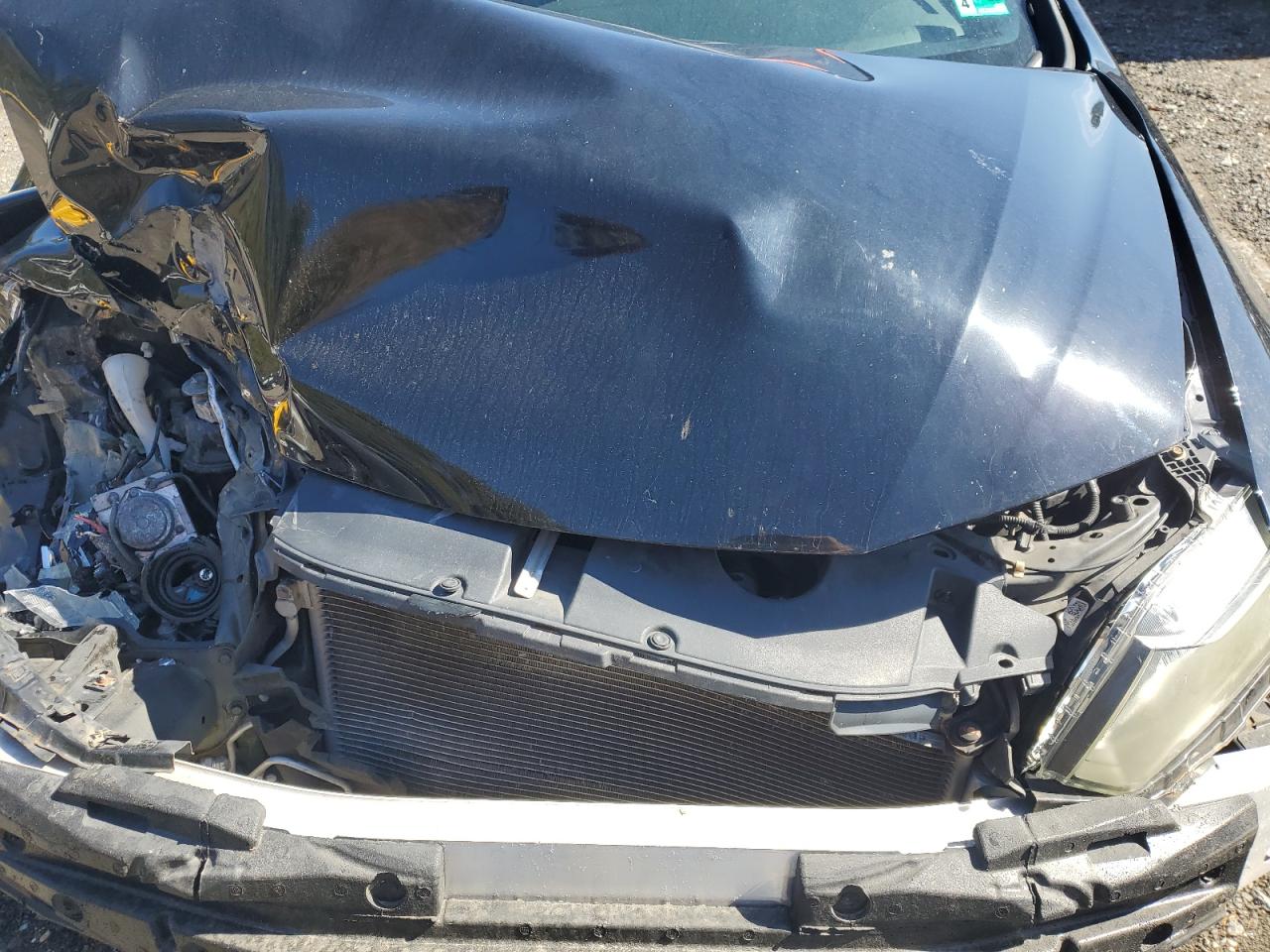 Honda Civic Exl Image 6