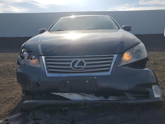 Lexus Es 350 Image 3