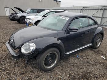  Salvage Volkswagen Beetle
