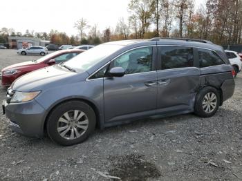  Salvage Honda Odyssey