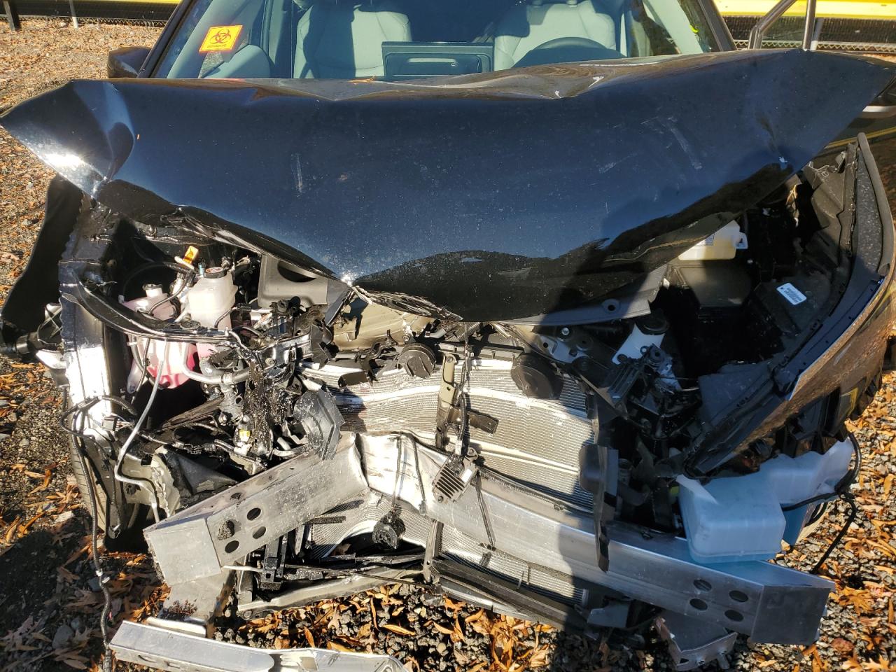 Toyota Sienna Xle Image 11