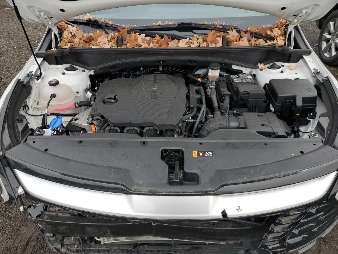 Kia Sportage Ex Image 10