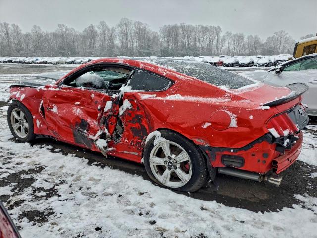 Ford Mustang Image 2