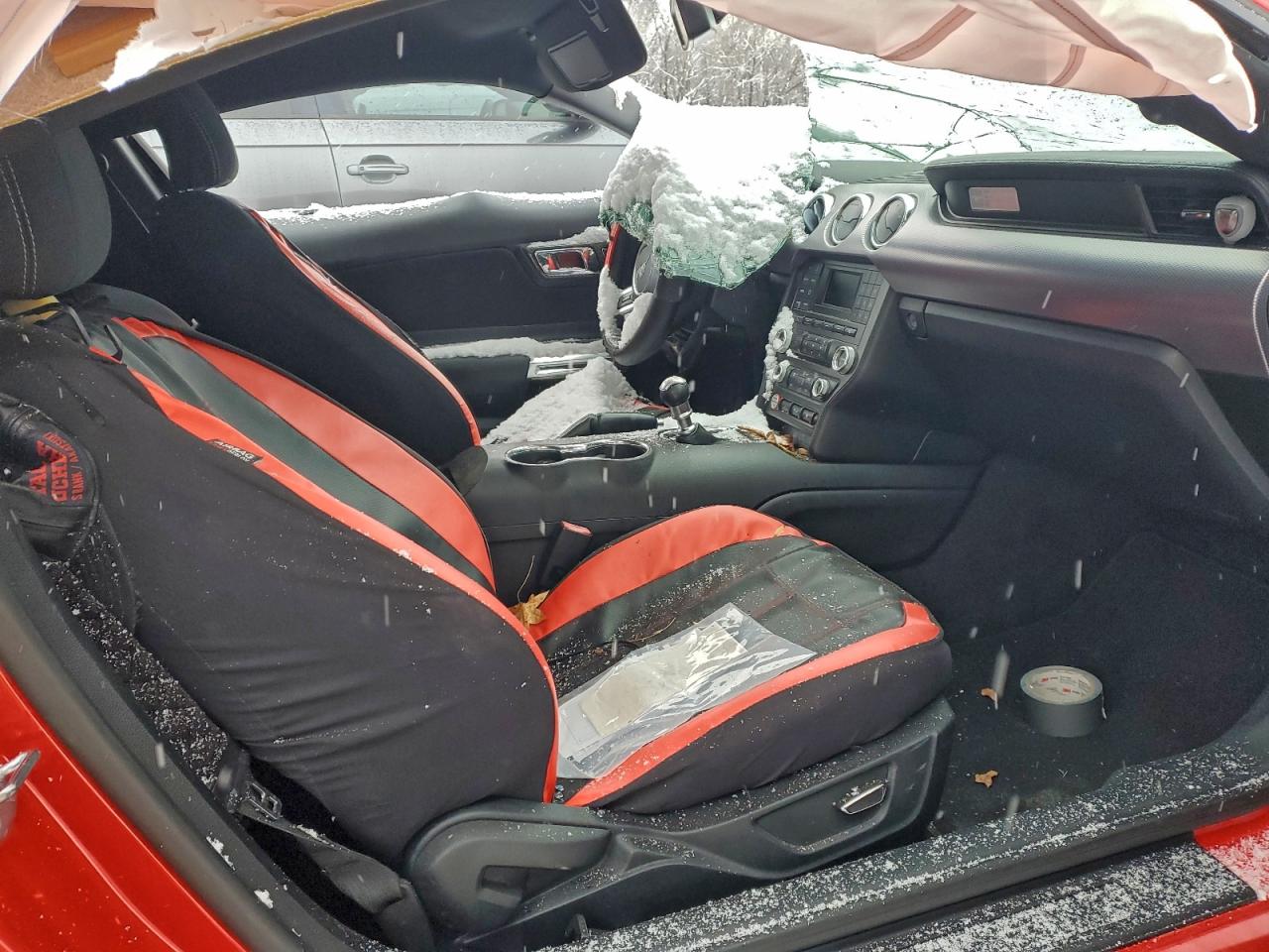 Ford Mustang Image 12