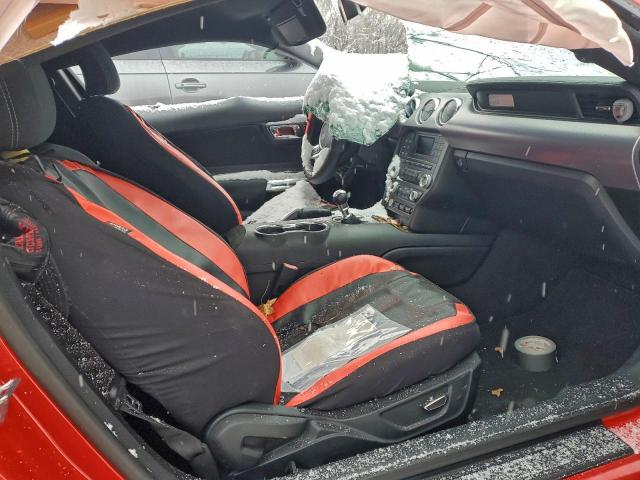 Ford Mustang Image 12