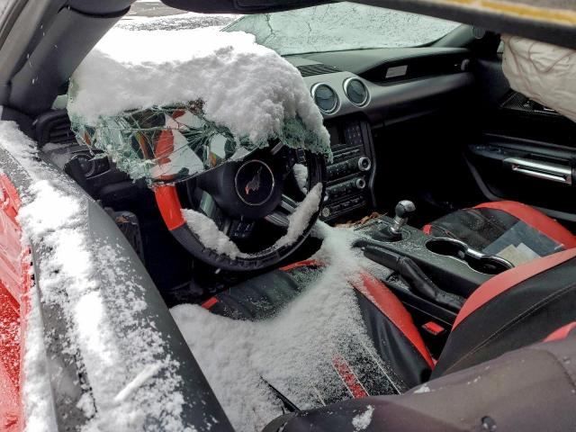 Ford Mustang Image 6