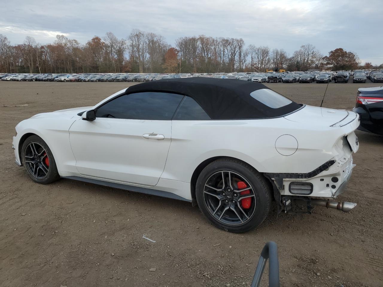 Ford Mustang Image 9