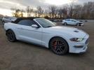 Ford Mustang Image 5