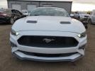 Ford Mustang Image 8