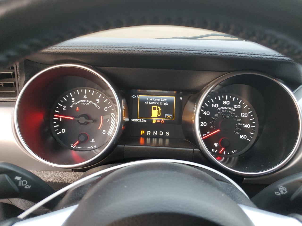 Ford Mustang Image 2