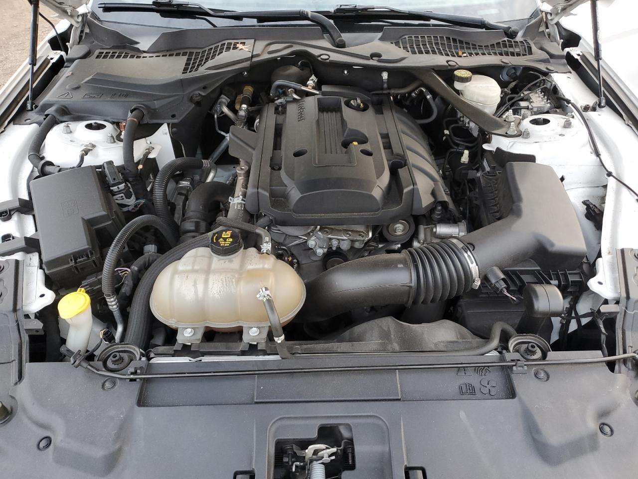 Ford Mustang Image 7