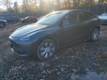 Salvage Tesla Model Y