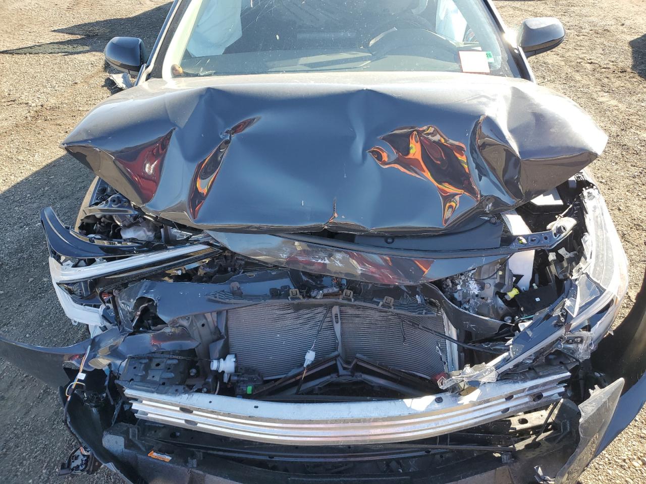 Toyota Corolla Le Image 8