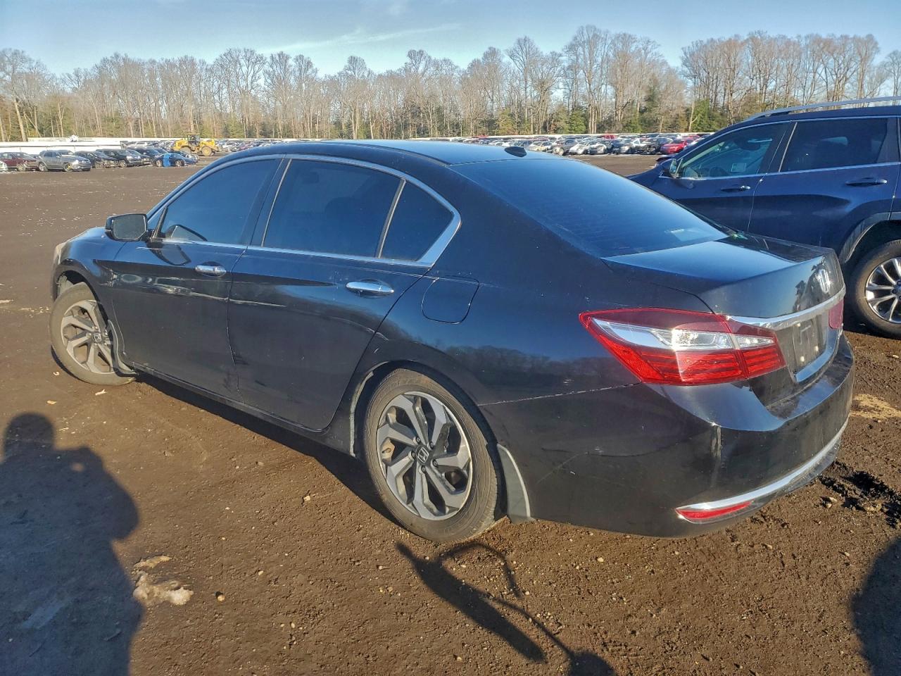 Honda Accord Exl Image 7