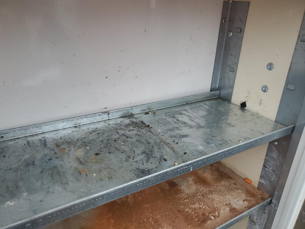 Chevrolet Express Image 9