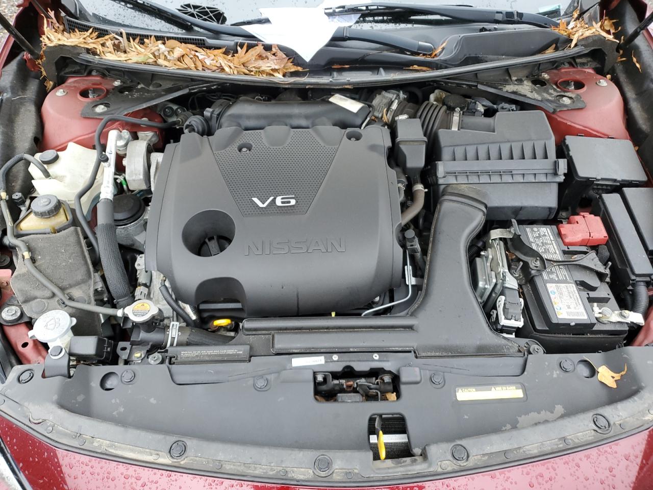 Nissan Maxima Sv Image 6