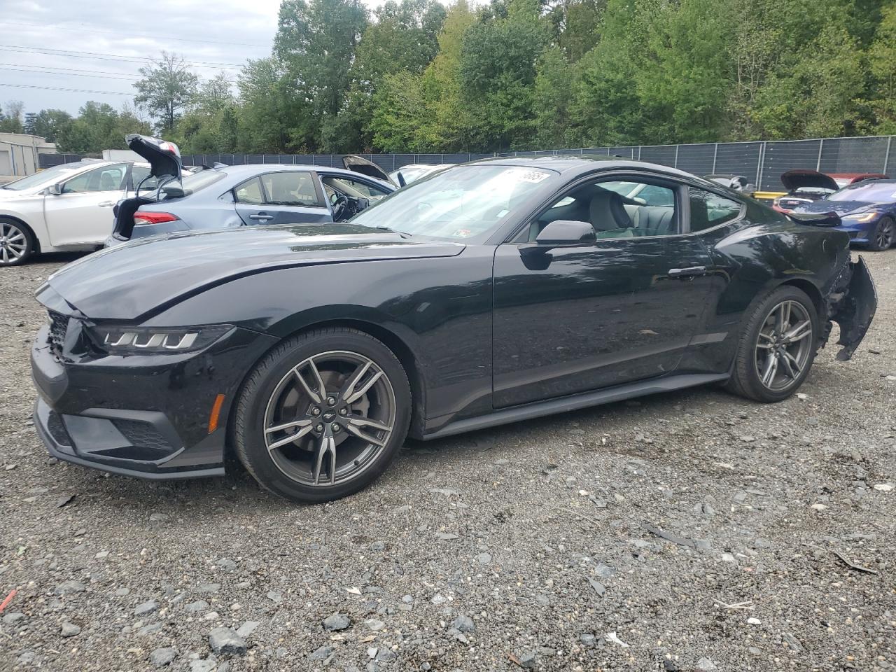 Ford Mustang Image 1