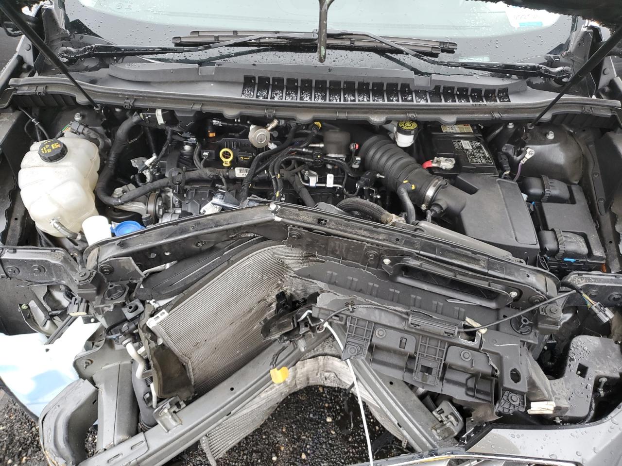 Ford Edge Sel Image 8