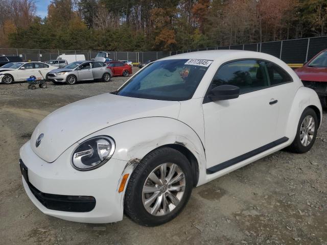  Salvage Volkswagen Beetle
