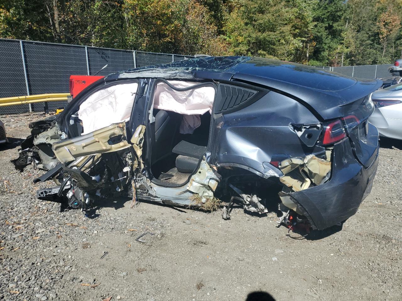 Tesla Model Y Image 2