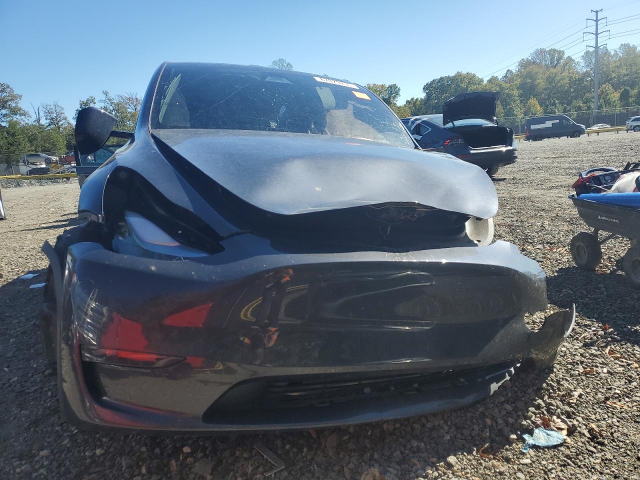 Tesla Model Y Image 7